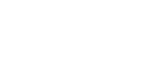 Razzl logo